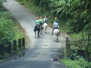 Costa_Rica_00038