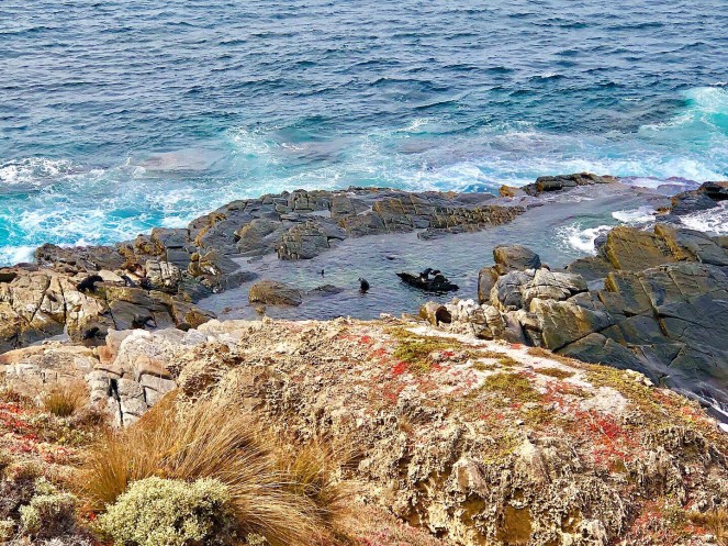 7d03c166-5616-4bf4-8782-8d308d38c7c6