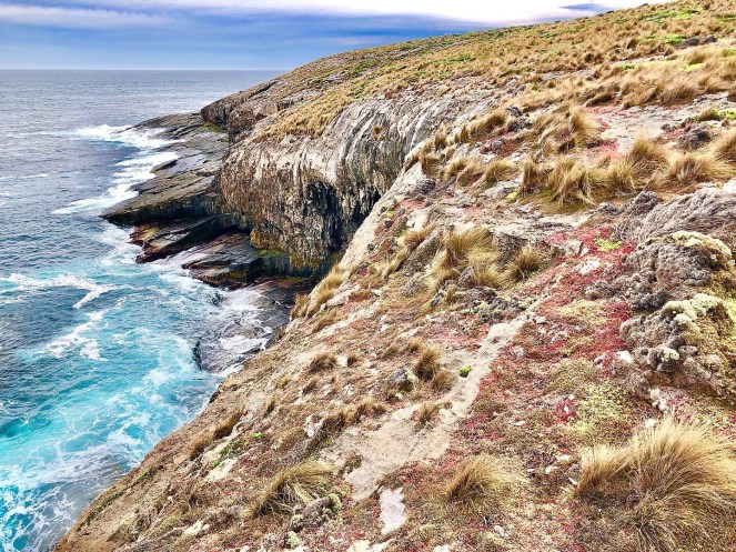 d2c1222f-8d77-4889-ac8b-e83682668bc3