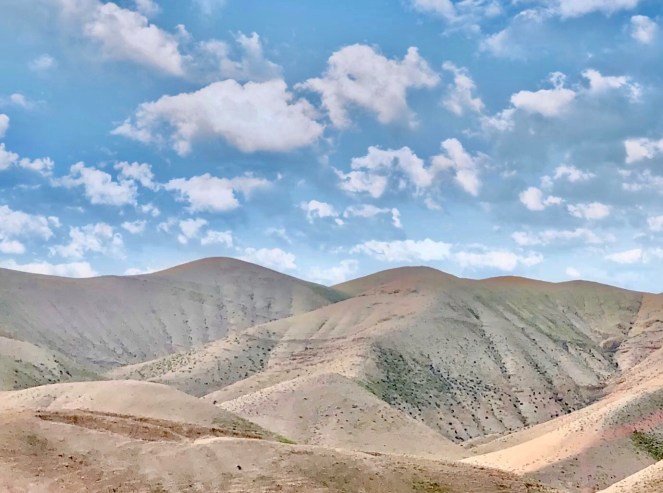 47e96c53-d767-487a-98aa-d476e20dac25